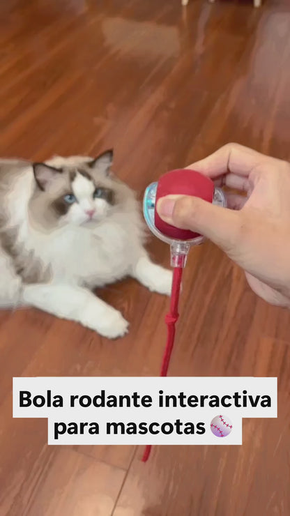 Pelota Interactiva para Gatos con Soga